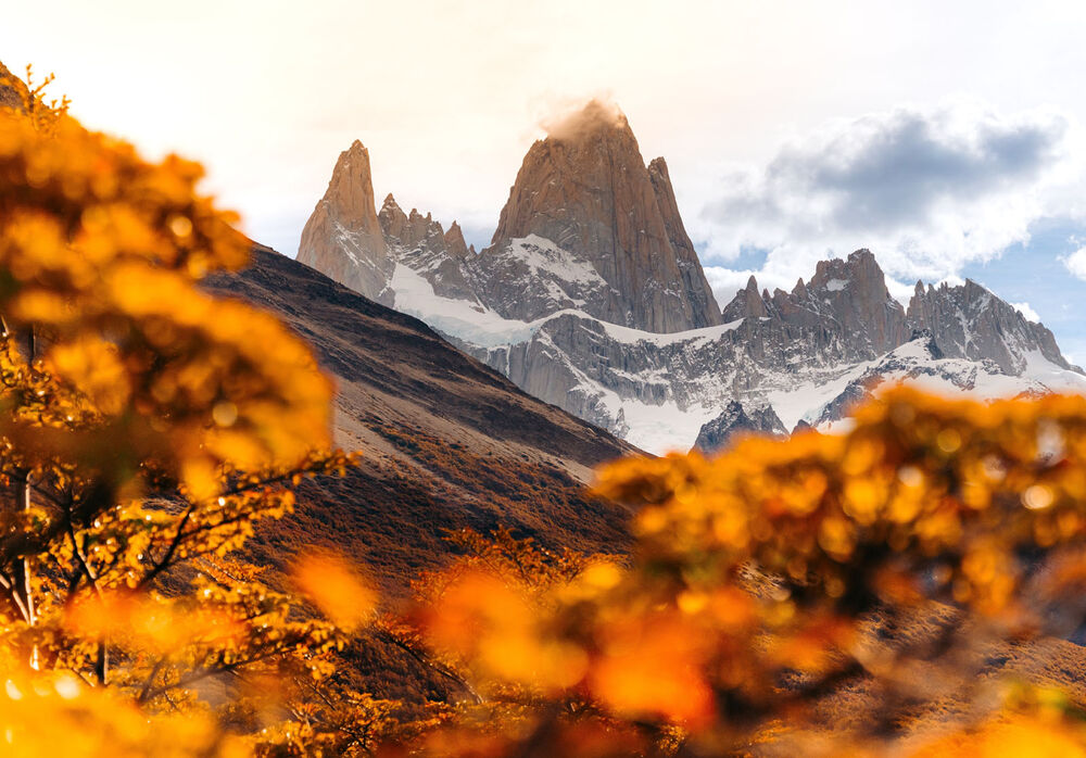 Argentina's Fall Colors Hiking & Walking Tour — Backroads