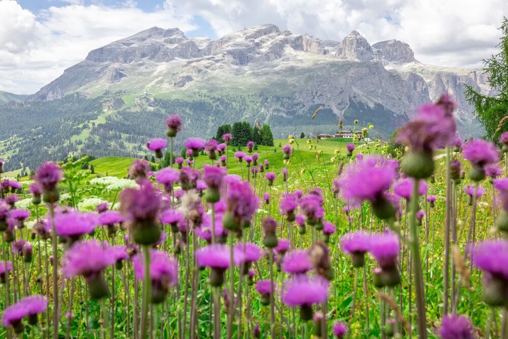 Dolomites Family Multi-Adventure Tour — Backroads