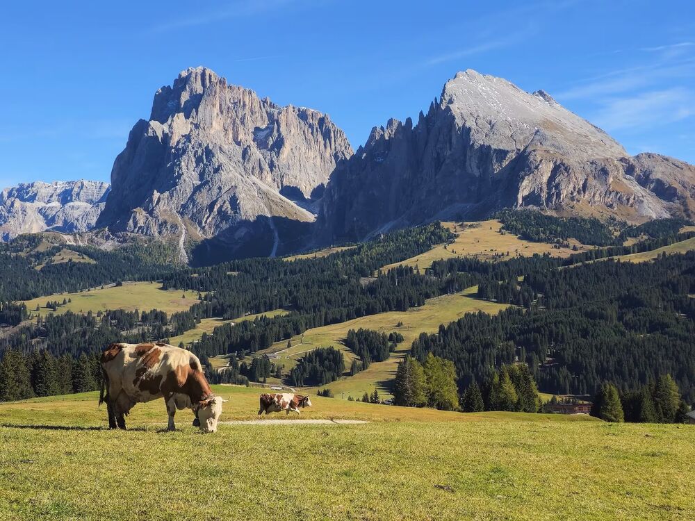 Dolomites to Lake Garda Multi-Adventure — Backroads