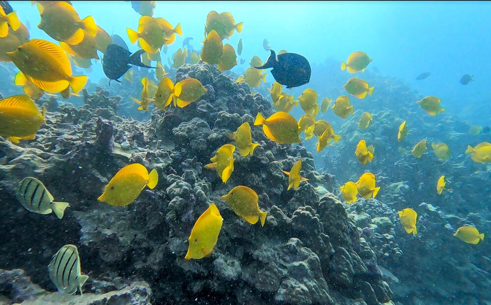 Hawaii's Big Island Family Multi-Adventure Tour — Backroads